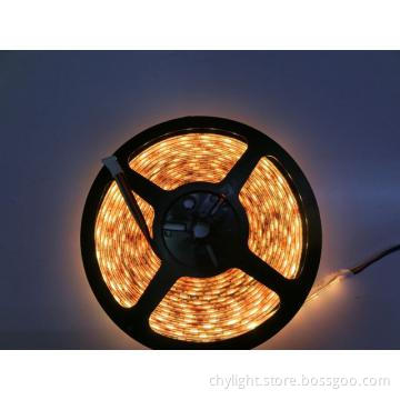 Wholesale 5M SMD5050  DC12V outdoor led strip